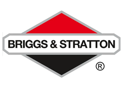 Briggs & Stratton